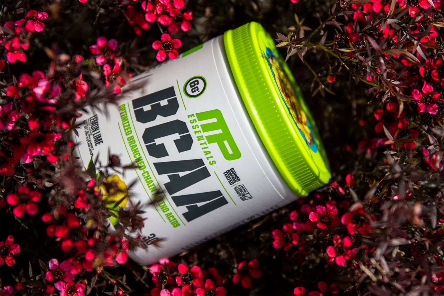 MusclePharm BCAA in Bush