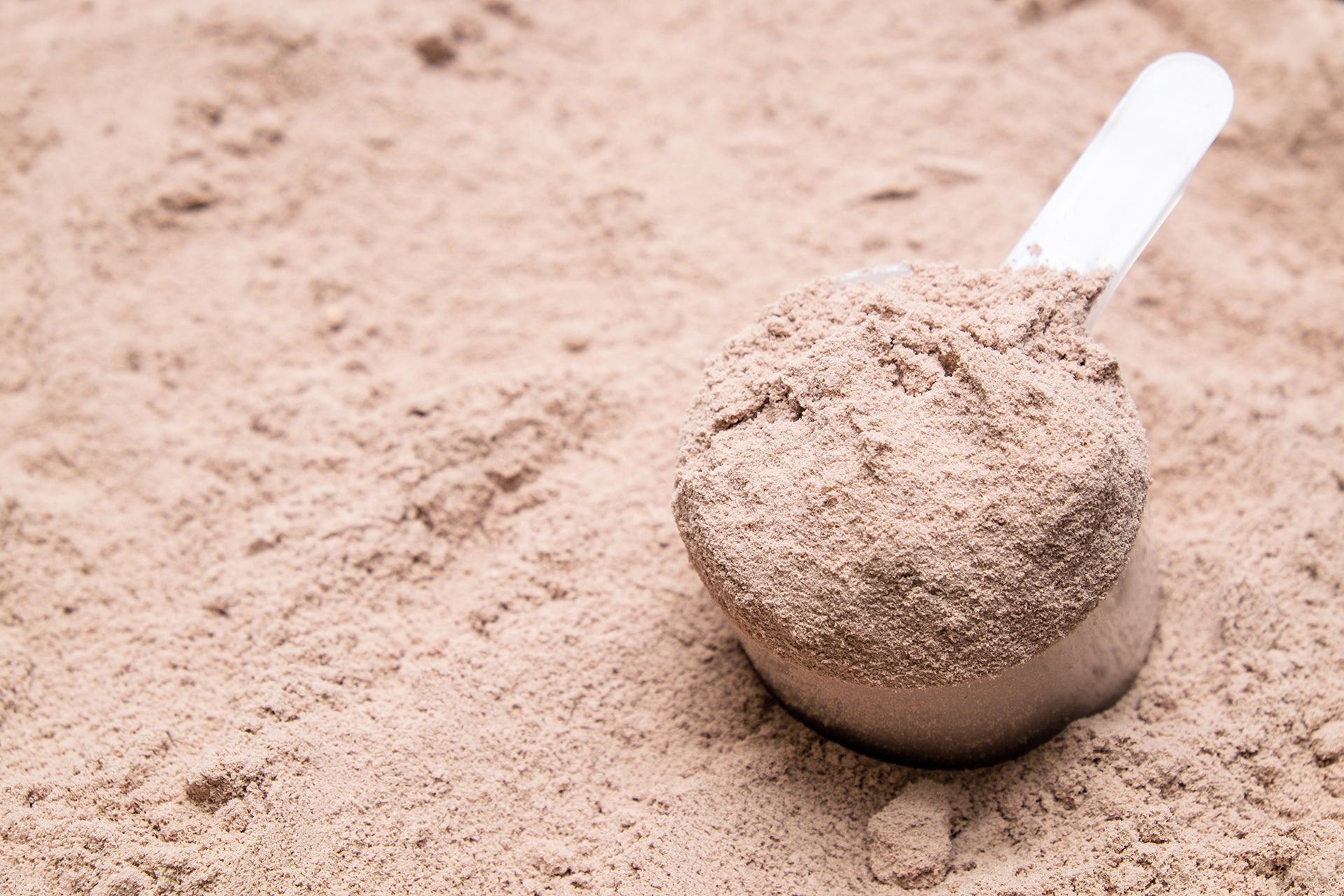 Protein Powder – Scoop sitting in powder